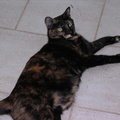 DSCN0306