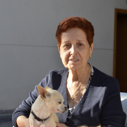 Animales