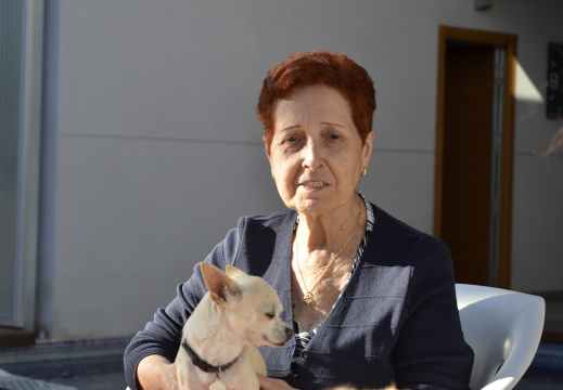 Animales