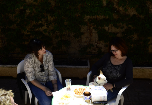 _DSC1198.NEF